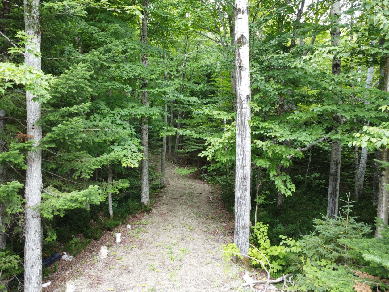Photo 5 — Ch. Jacques-Labrecque, Petite-Rivière-Saint-François