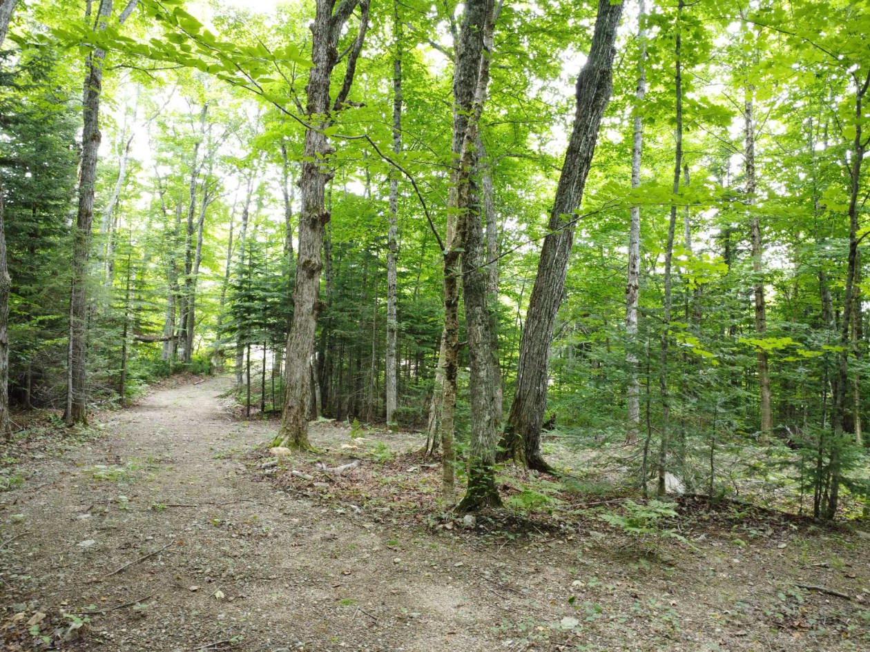 Photo 7 — Ch. Jacques-Labrecque, Petite-Rivière-Saint-François