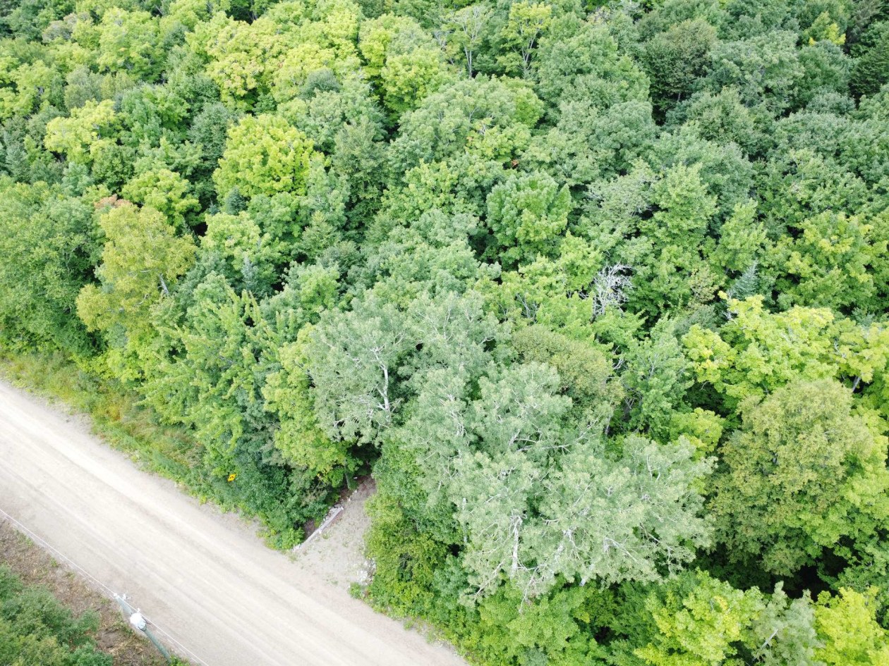Photo aérienne — Ch. Jacques-Labrecque, Petite-Rivière-Saint-François
