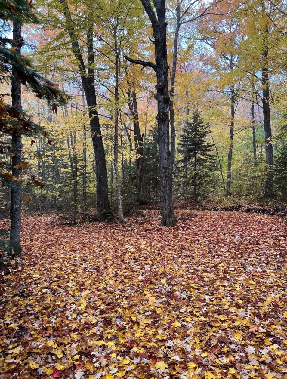 Photo 10 — Ch. Jacques-Labrecque, Petite-Rivière-Saint-François