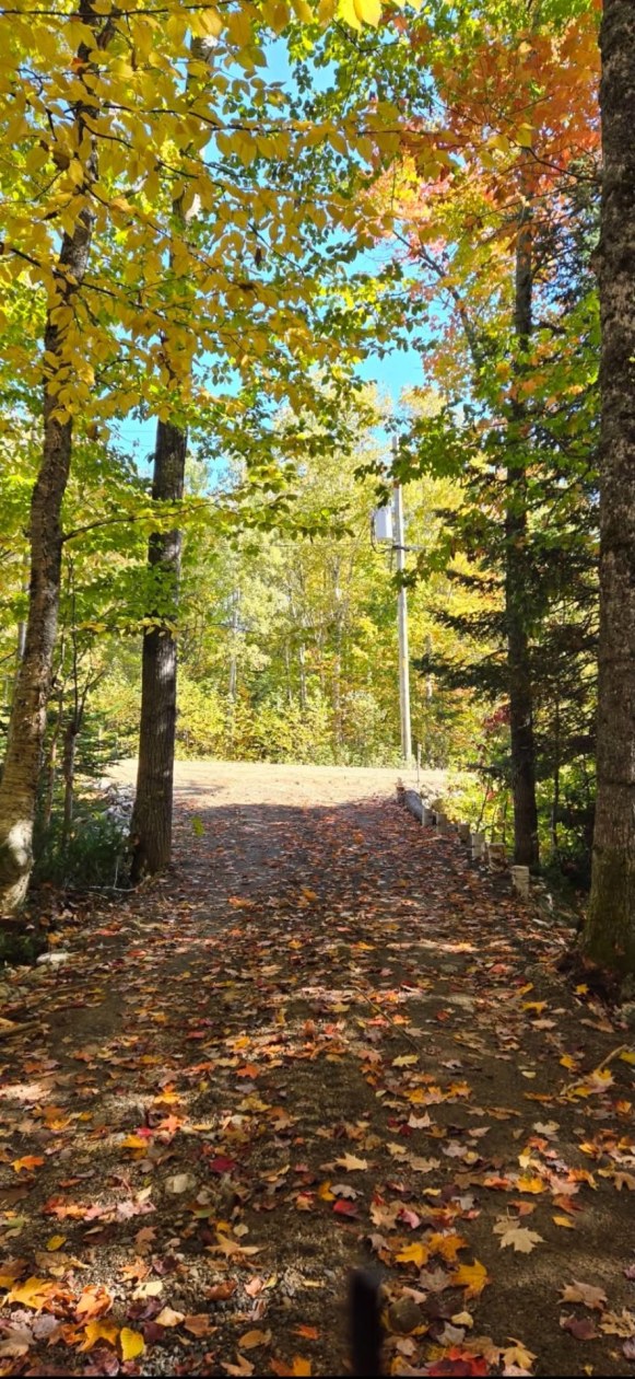 Photo 11 — Ch. Jacques-Labrecque, Petite-Rivière-Saint-François