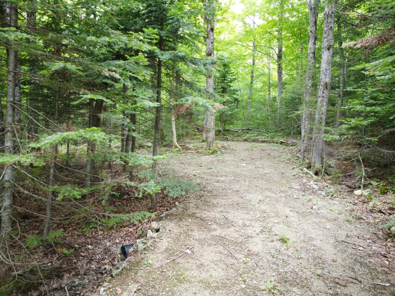 Photo 6 — Ch. Jacques-Labrecque, Petite-Rivière-Saint-François