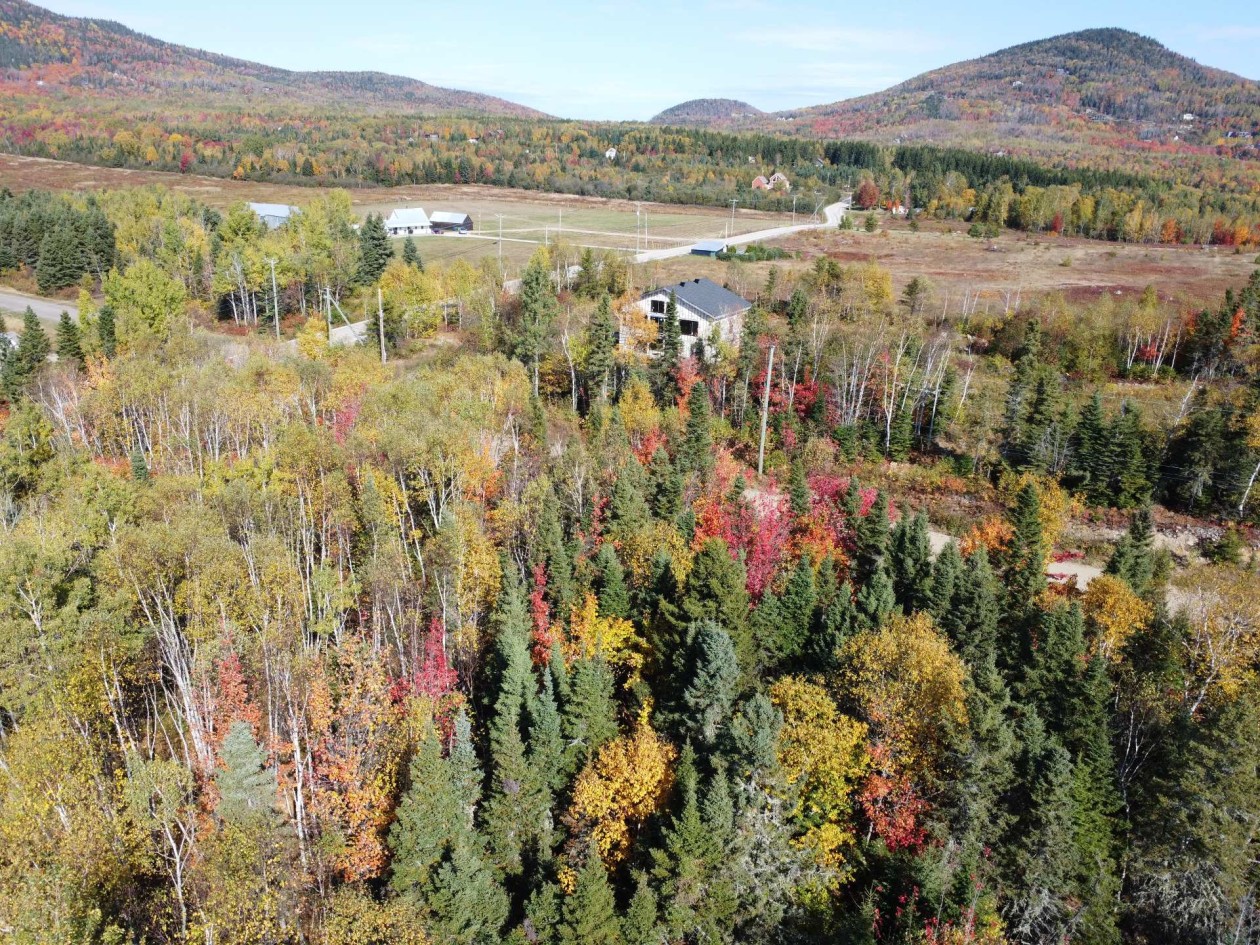 Photo 7 — Ch. Savard, Petite-Rivière-Saint-François