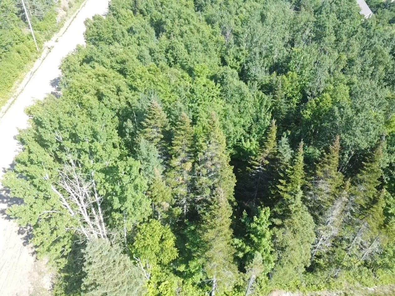 Terrain — Ch. Savard, Petite-Rivière-Saint-François