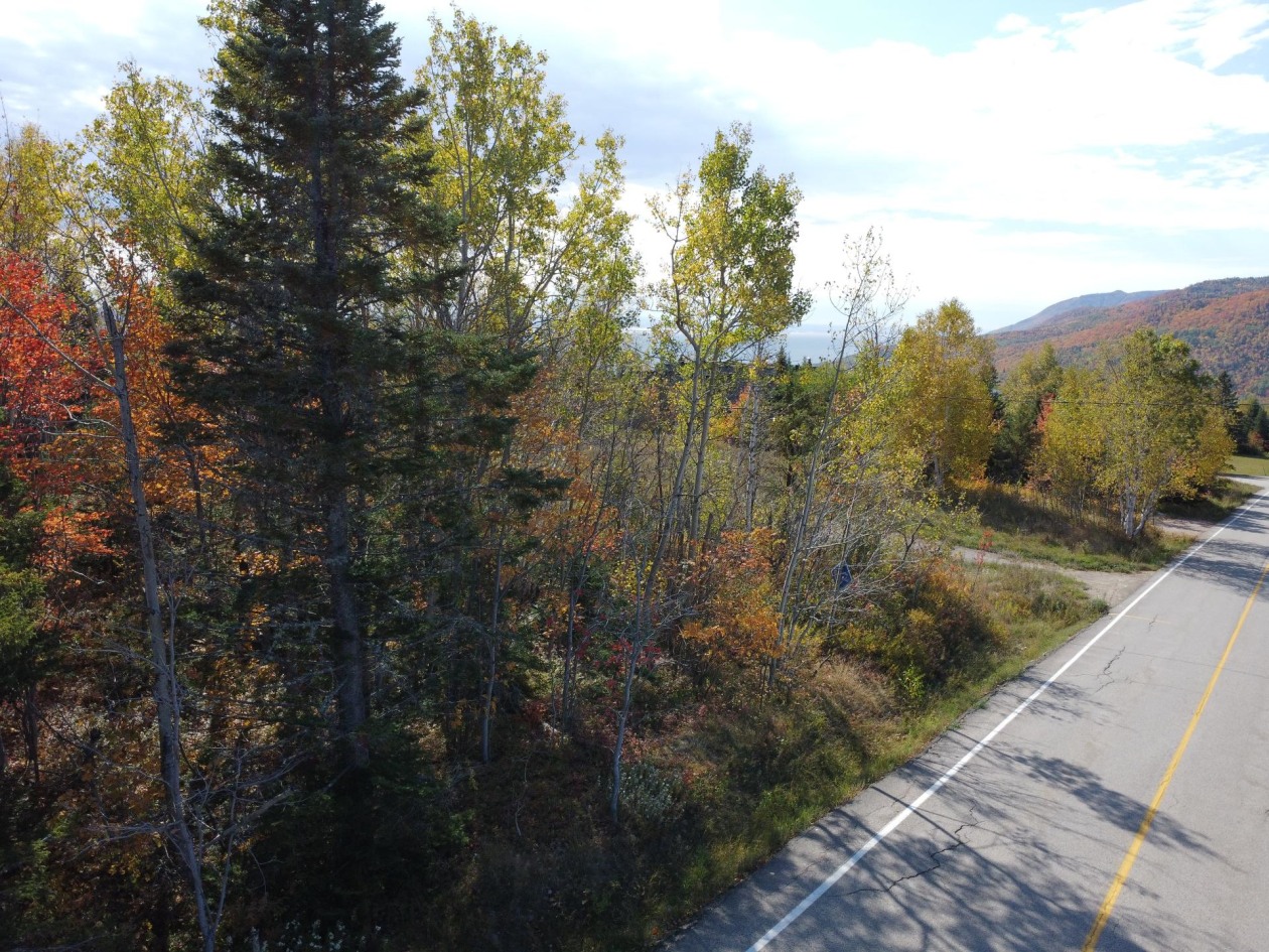 Photo 8 — 37 Ch. de la Martine, Petite-Rivière-Saint-François