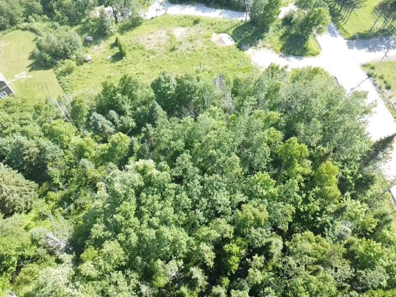 Terrain — 37 Ch. de la Martine, Petite-Rivière-Saint-François