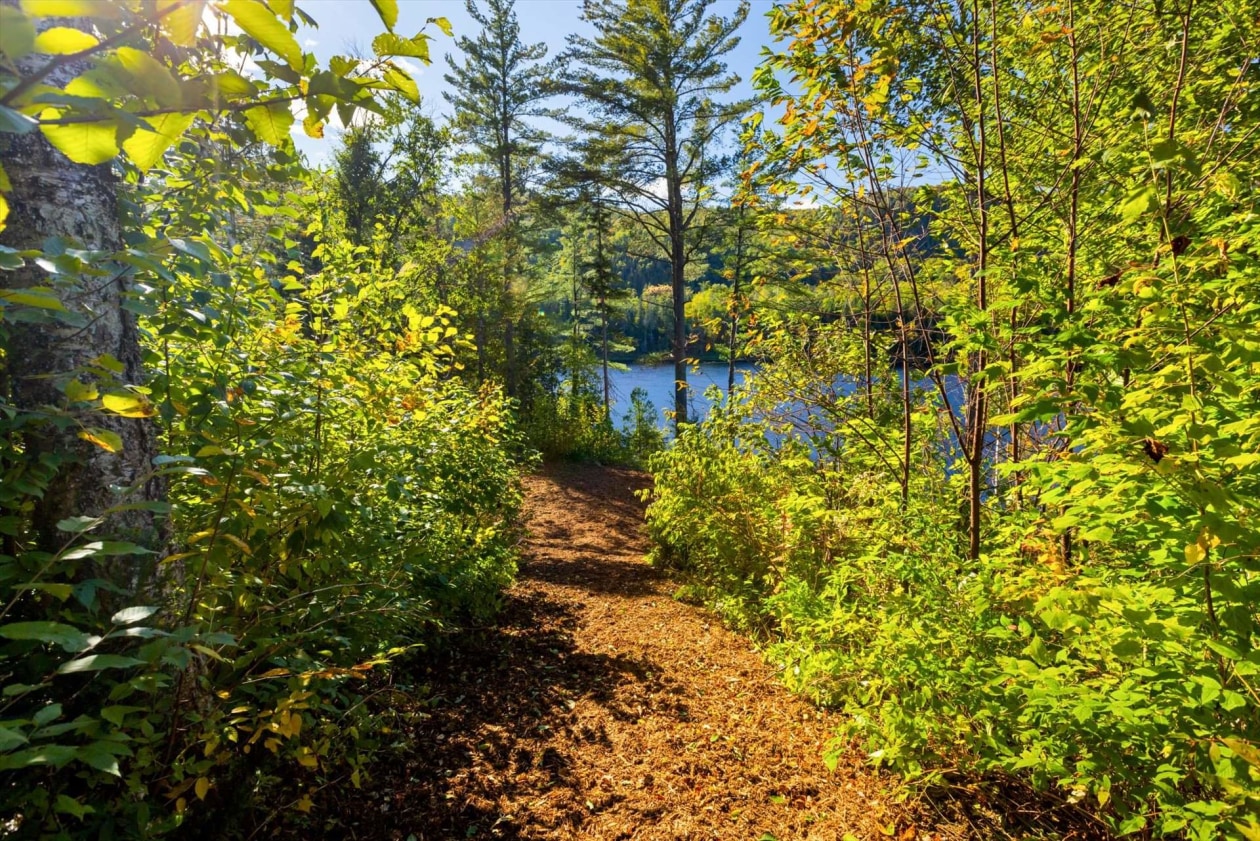 Terrain — 4147 Route 155, Trois-Rives