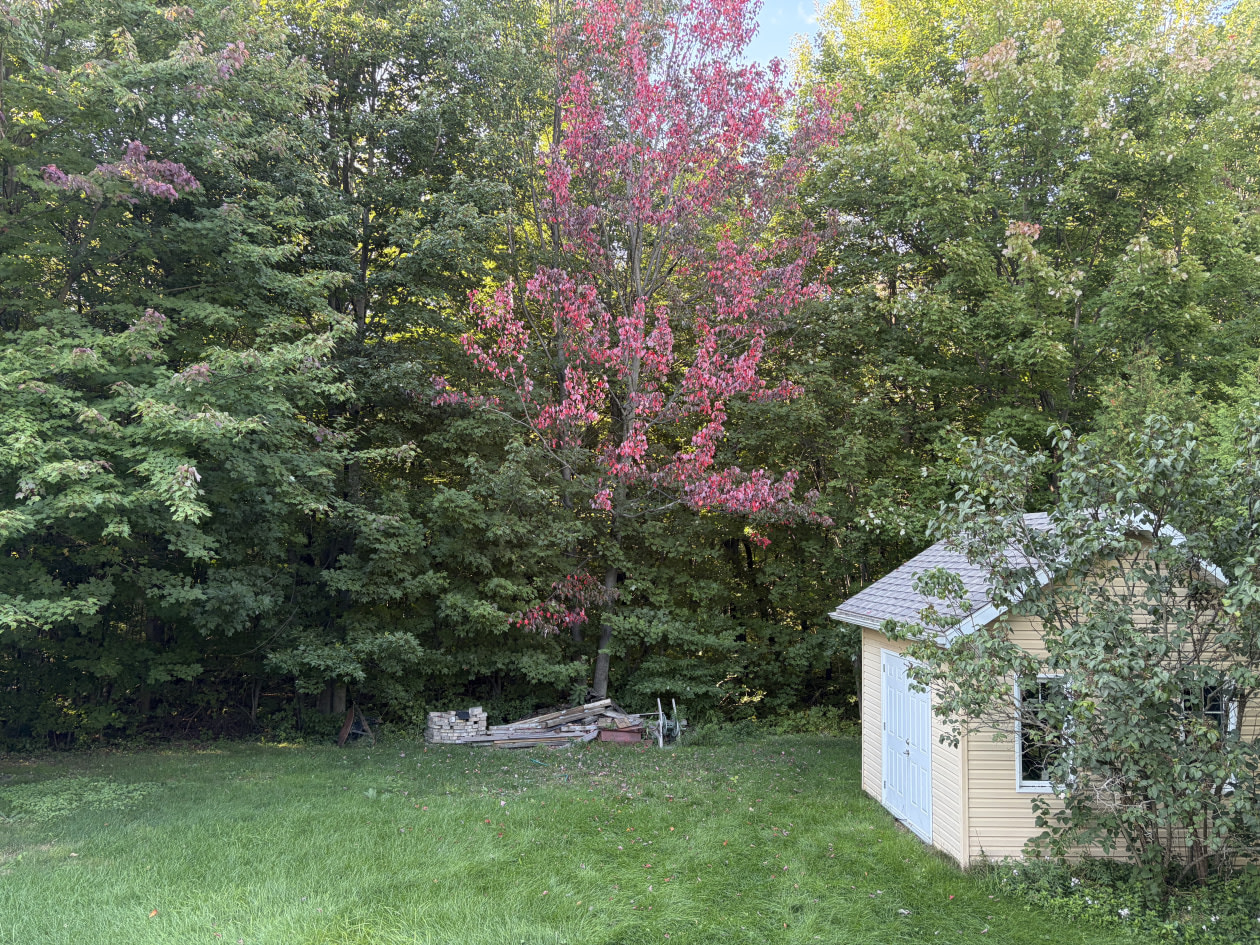 Photo 6 — 28 Rue Des Tulipes, Victoriaville