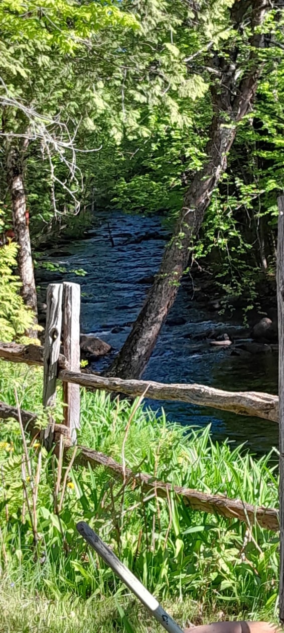 Photo 2 — 1300 Rg Sacacomie, Saint-Alexis-des-Monts