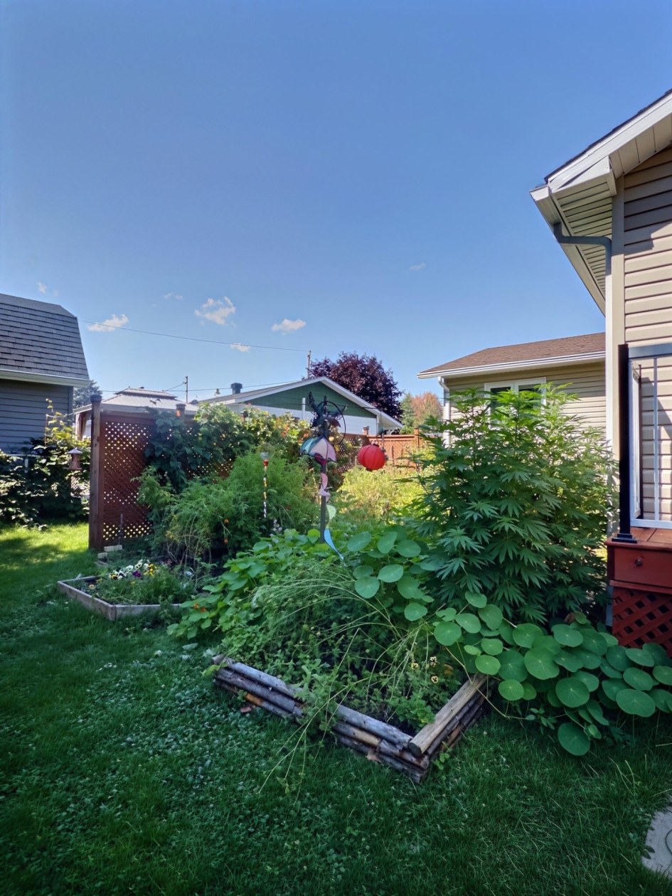 Cour — 6005 Rue Lacoursière, Trois-Rivières