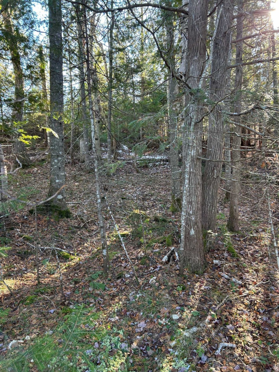 Terrain — Ch. du Lac-Migué, Saint-Damien
