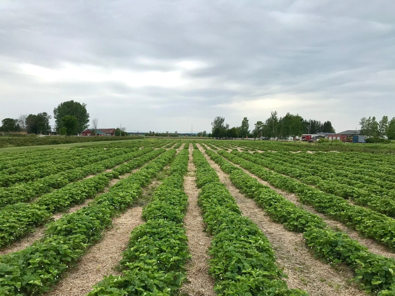 Photo aérienne — 745X Rue Principale, Sainte-Anne-de-la-Pérade