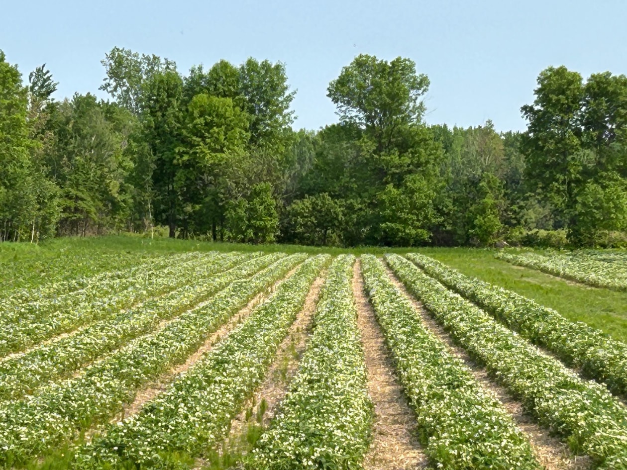 Photo 6 — 745X Rue Principale, Sainte-Anne-de-la-Pérade