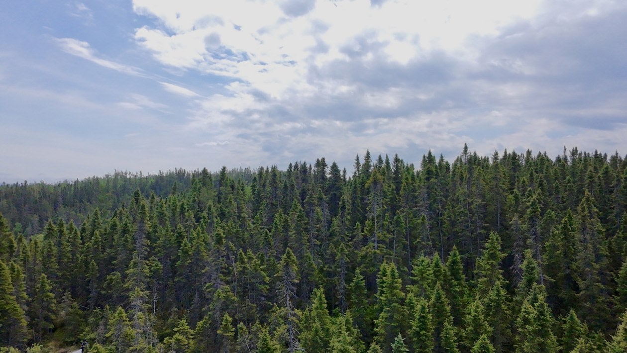 Photo 9 — QC-170, La Baie