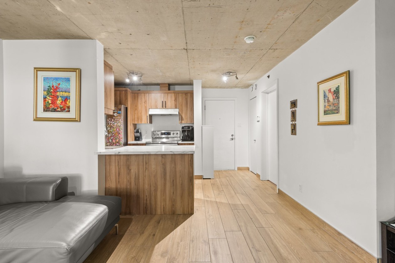 Overview — 1451 Rue Parthenais, Montréal