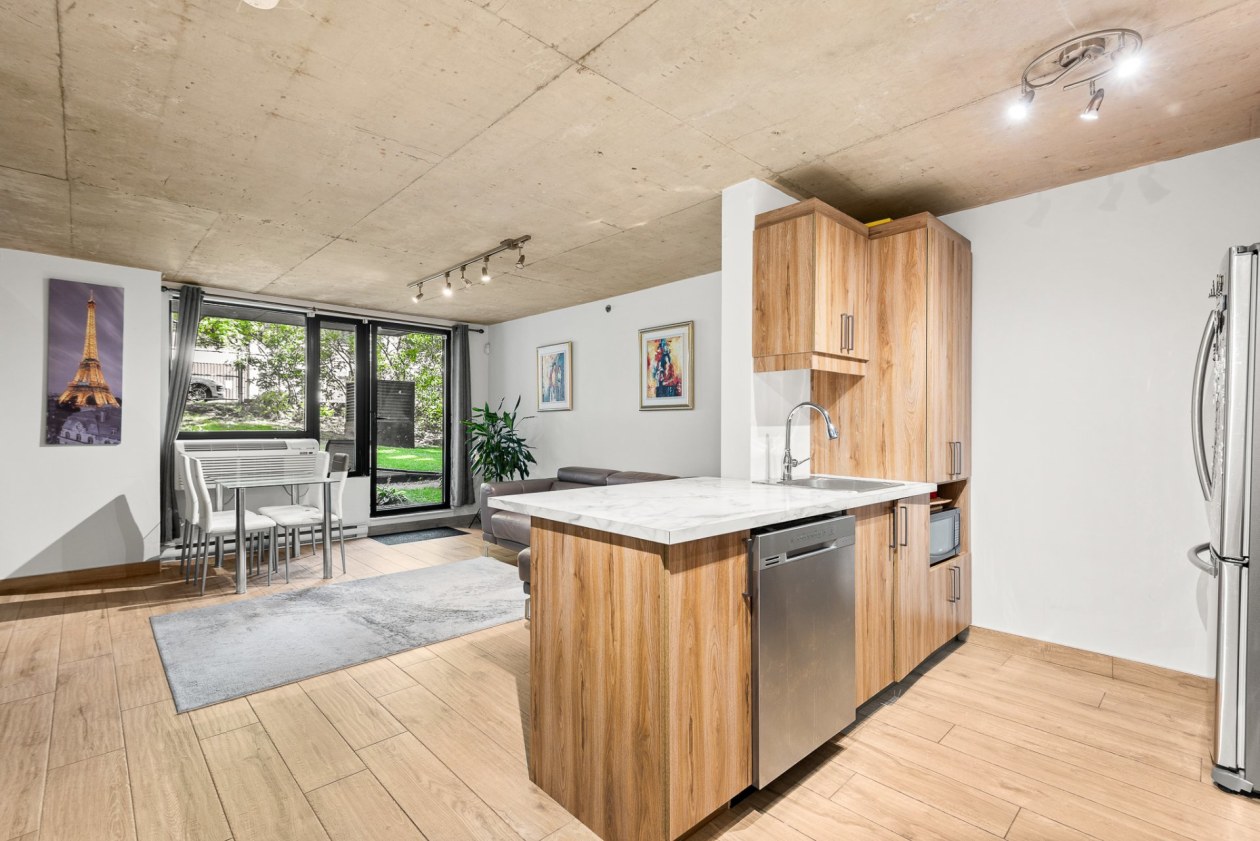 Overview — 1451 Rue Parthenais, Montréal
