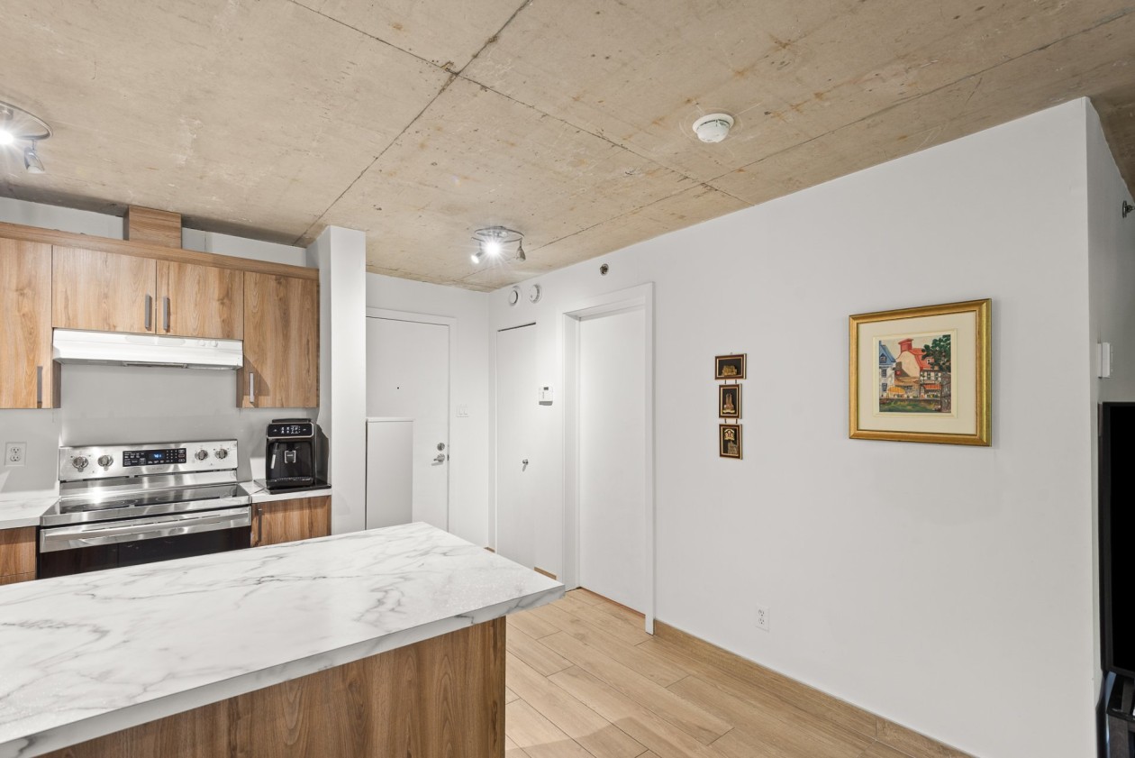 Photo 17 — 1451 Rue Parthenais, Montréal