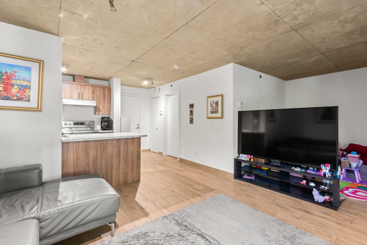 Living room — 1451 Rue Parthenais, Montréal
