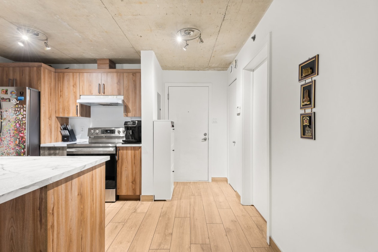 Entrance hall — 1451 Rue Parthenais, Montréal