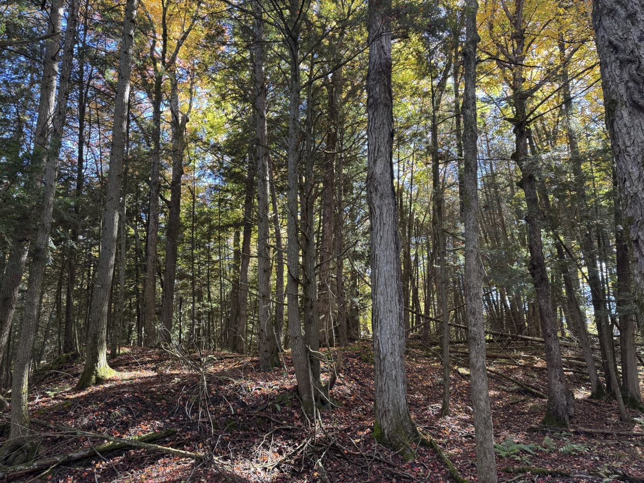 Photo 2 — Chemin du Lac, Hatley