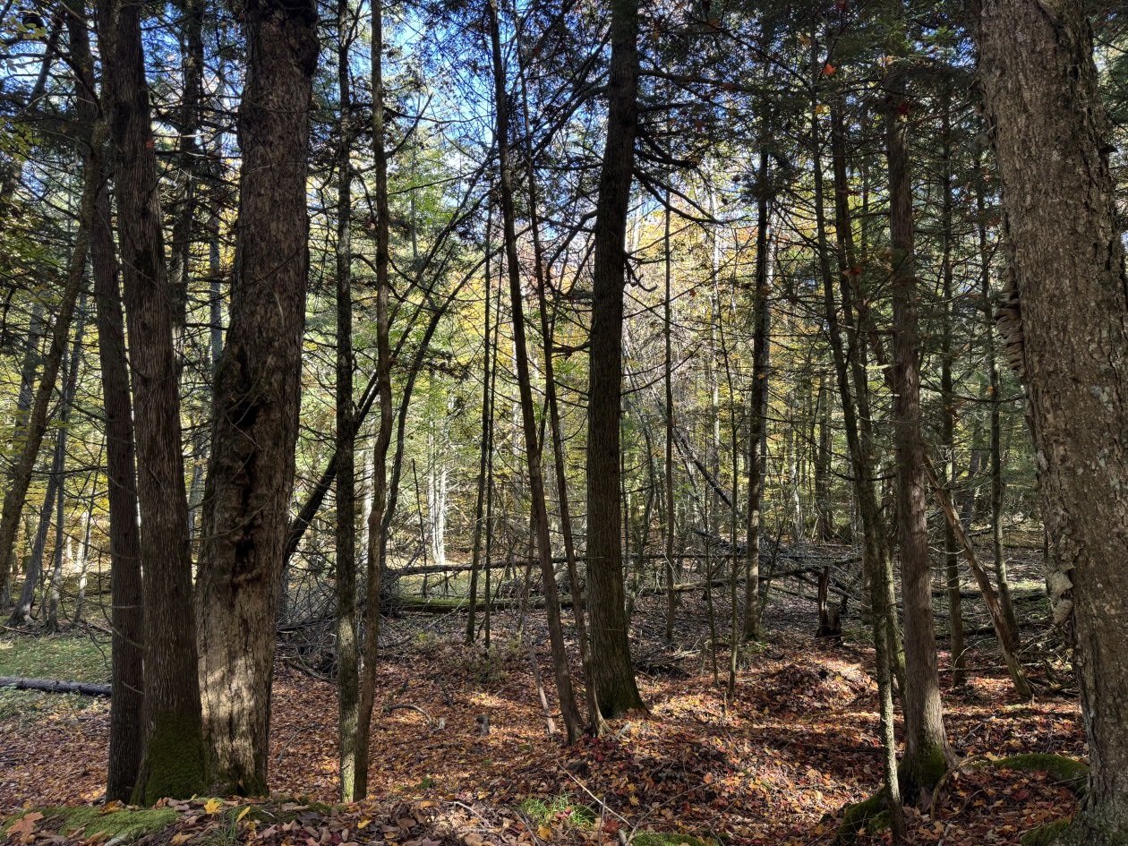 Photo 4 — Chemin du Lac, Hatley