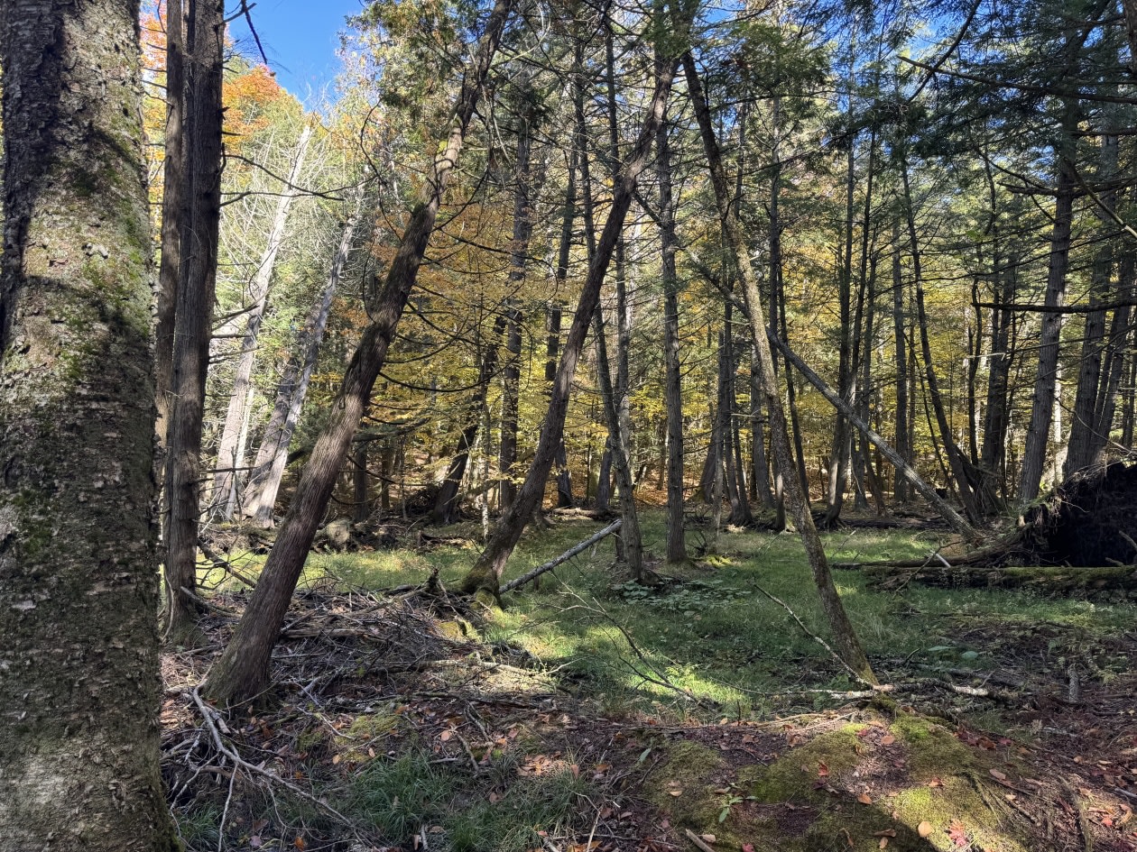 Photo 5 — Chemin du Lac, Hatley