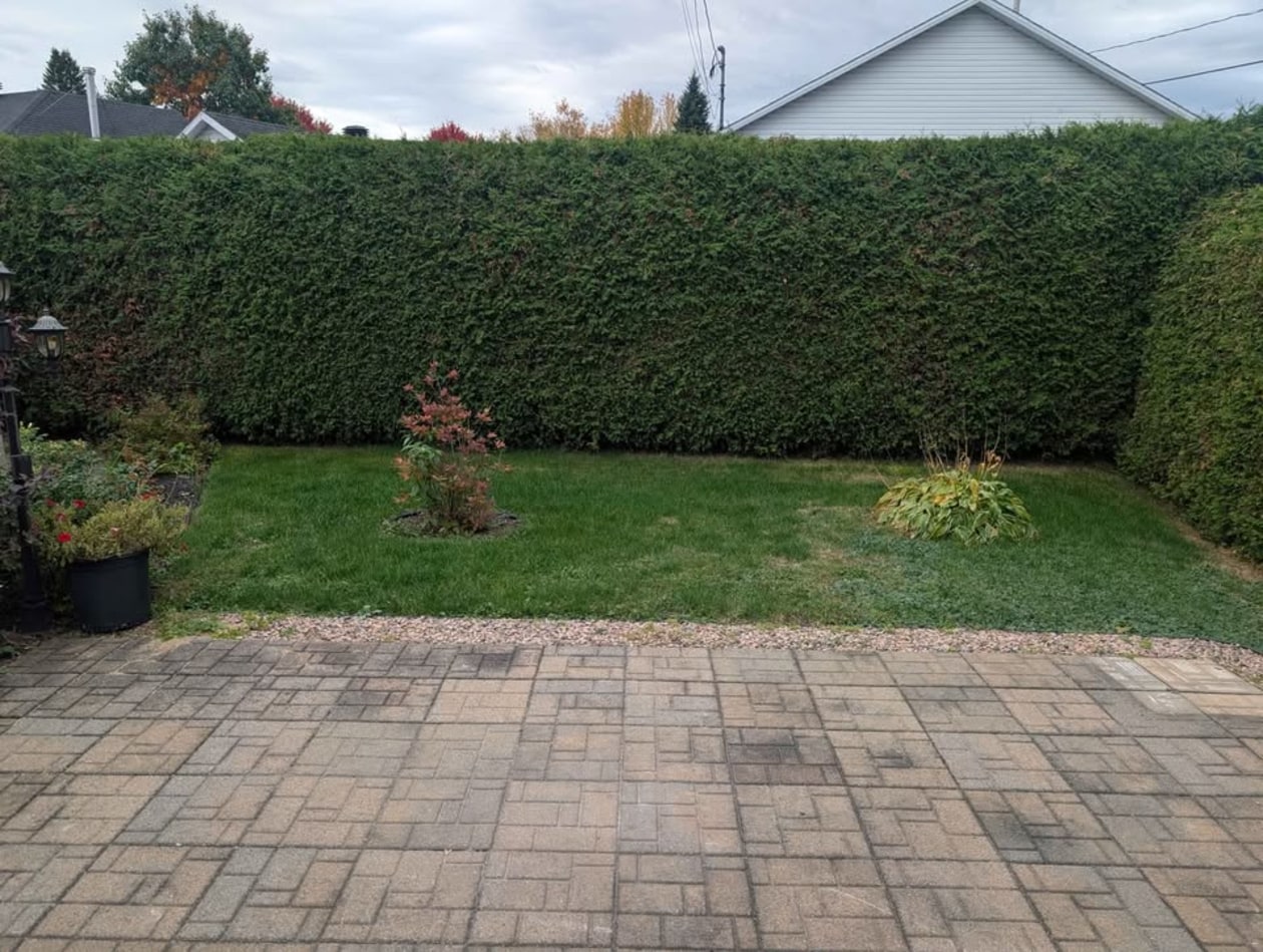 Photo 21 — 1408 Rue Des Herbes, Québec