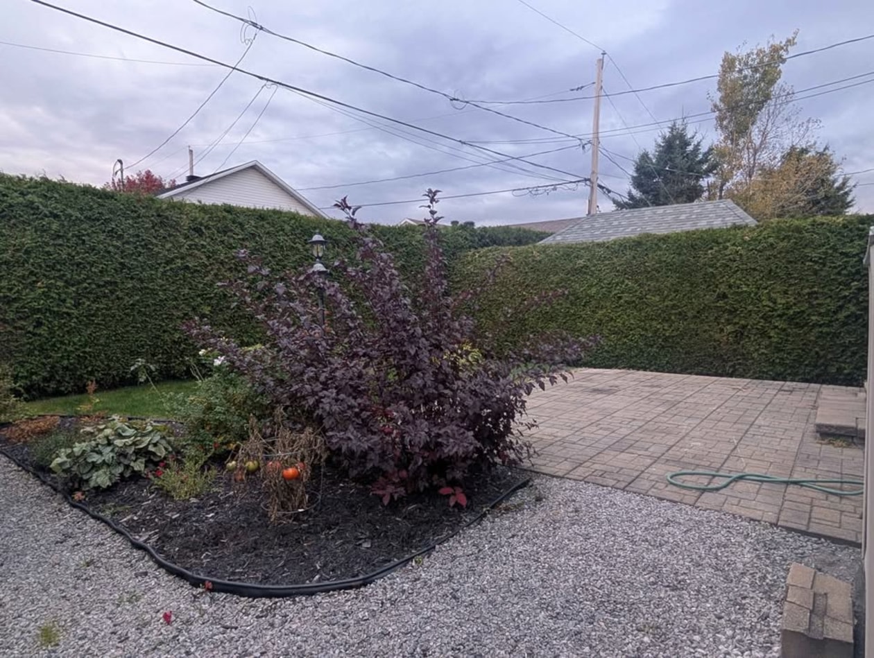 Photo 22 — 1408 Rue Des Herbes, Québec