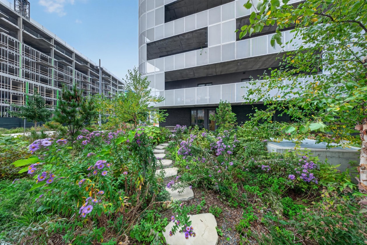 Extérieur — 4240 Rue Augustin-Frigon, Montréal