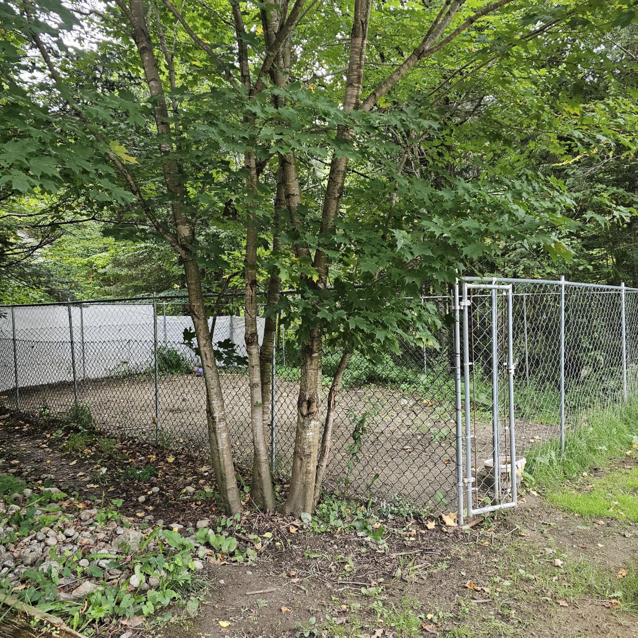 Photo 29 — 1817 Ch Du Parc, Mandeville