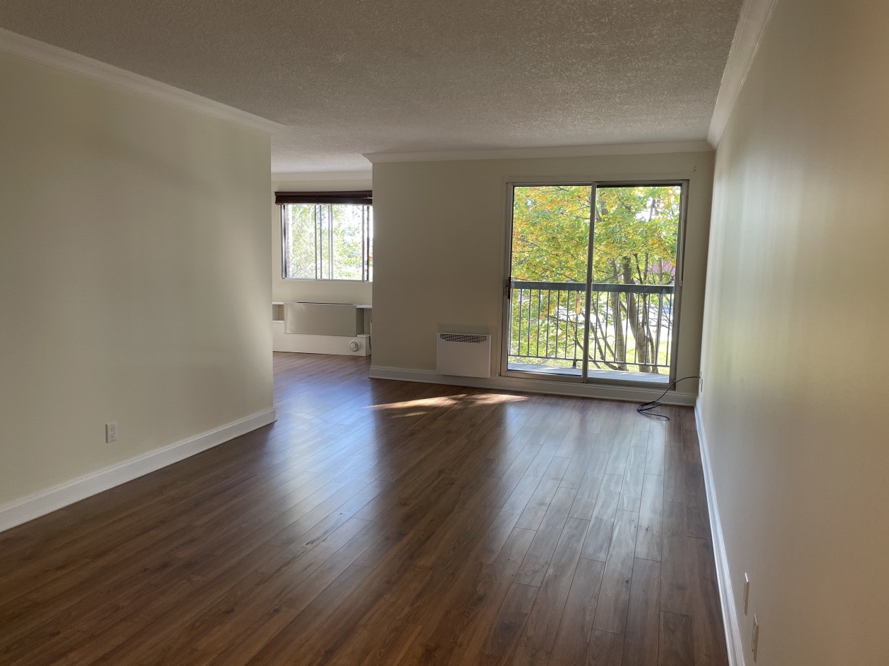 209-1550 Av Panama — photo 3