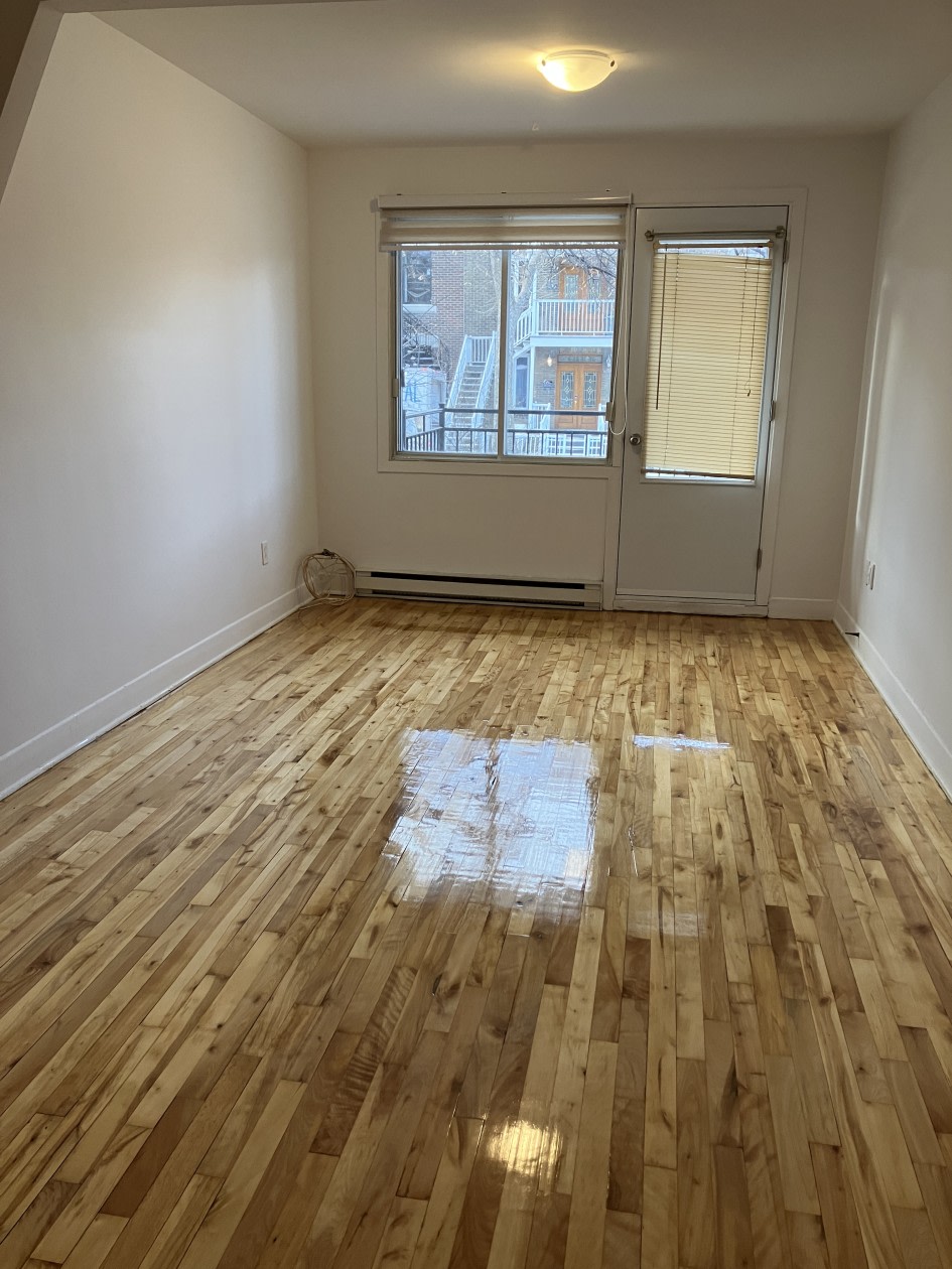 Photo 19 — 6679 Av De Lorimier, Montréal