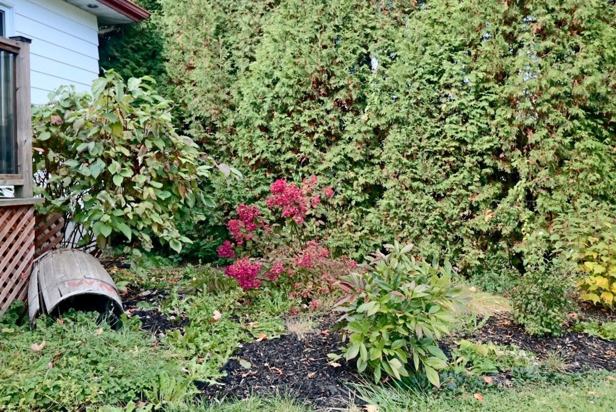 Extérieur — 21 Rue Matton, Trois-Rivières