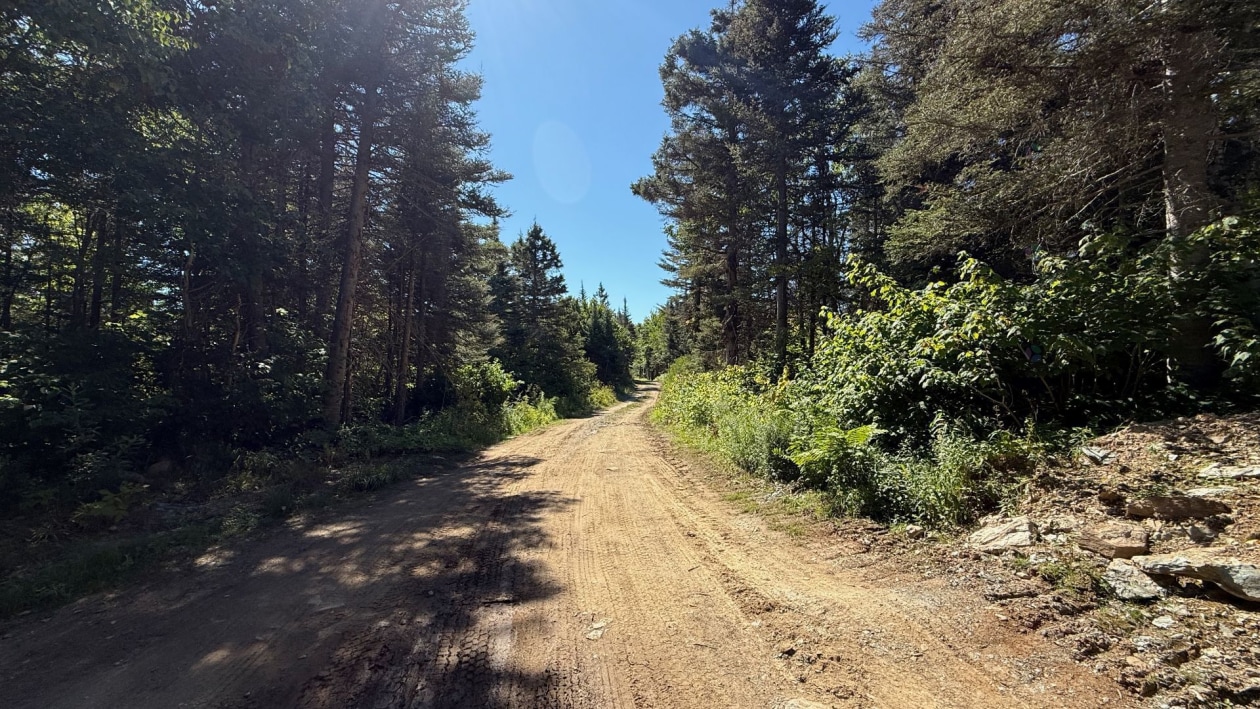 Photo 9 — Route Lebrun, Port-Daniel/Gascons