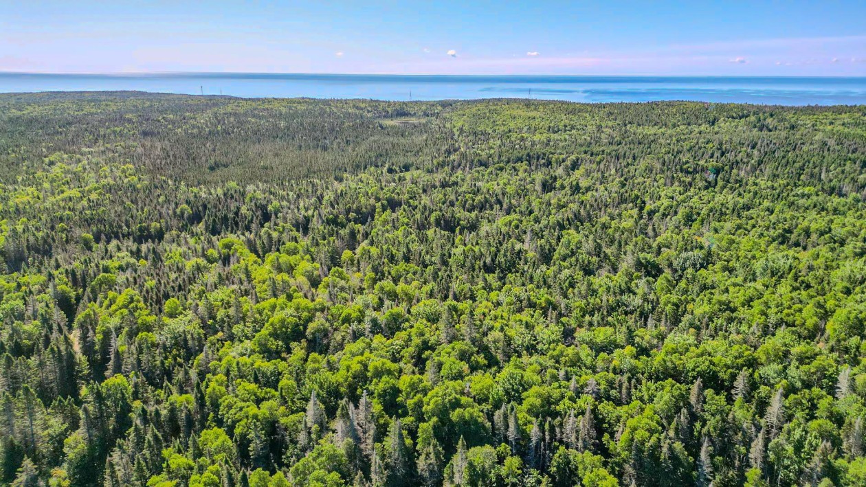 Vue d'ensemble — Route Lebrun, Port-Daniel/Gascons