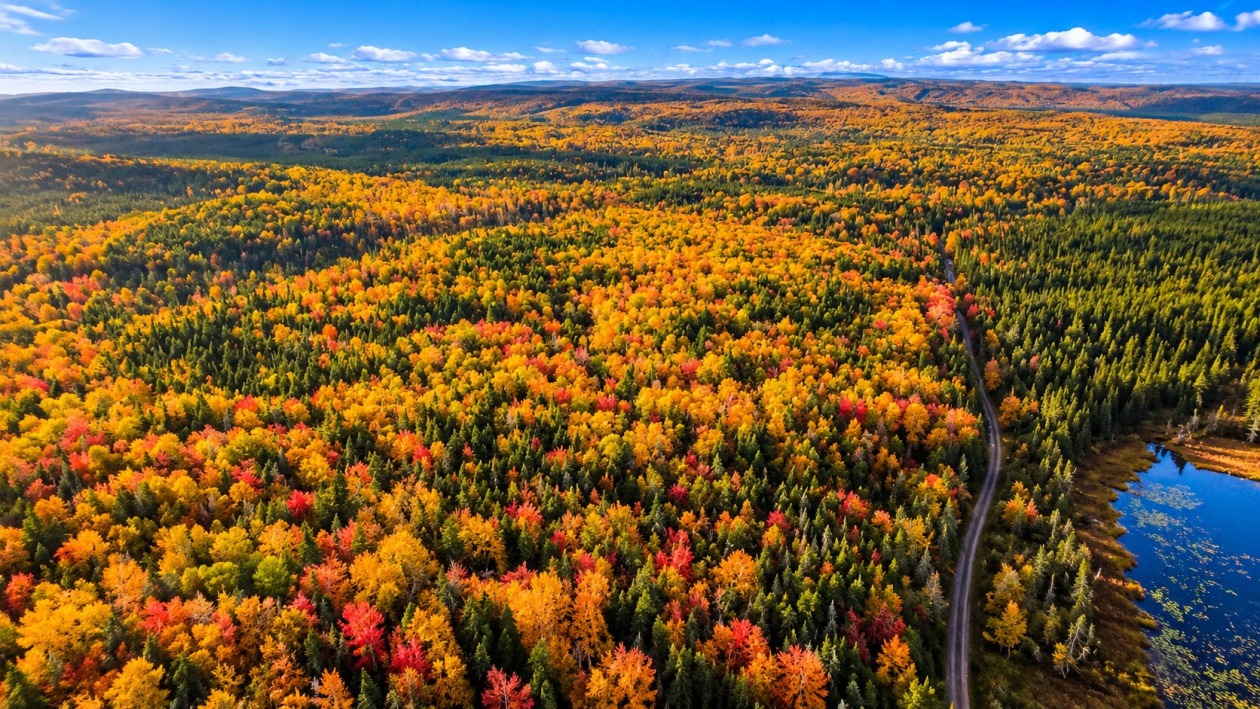 Vue d'ensemble — Route Lebrun, Port-Daniel/Gascons