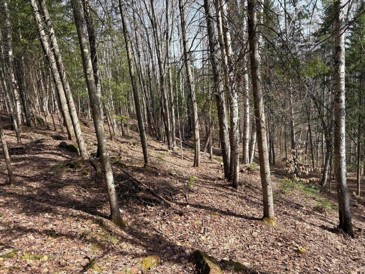 Terrain — Rg Ste-Agathe, Sainte-Béatrix