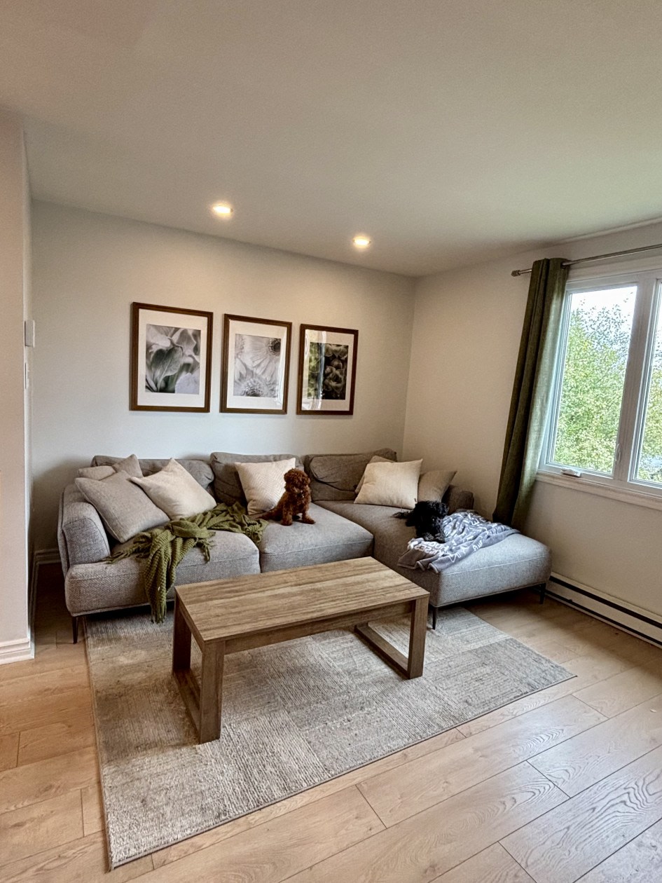 Photo 7 — 46 Rue Charles-Carrière, Gatineau
