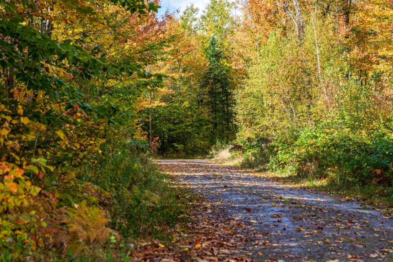 Terrain — 1911 Rg St-Félix, Notre-Dame-du-Mont-Carmel