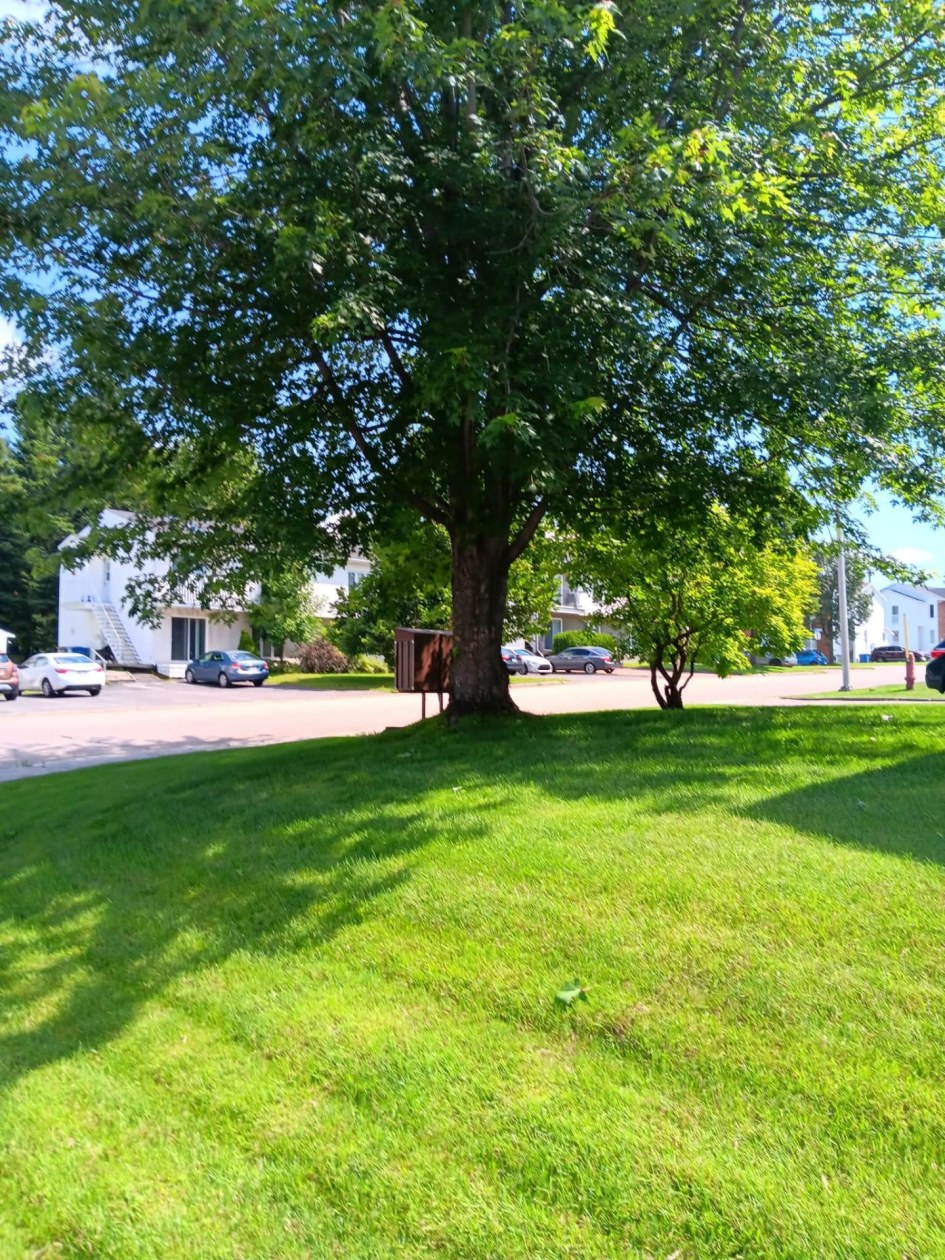 Extérieur — 3421 Rue Cabot, Saguenay