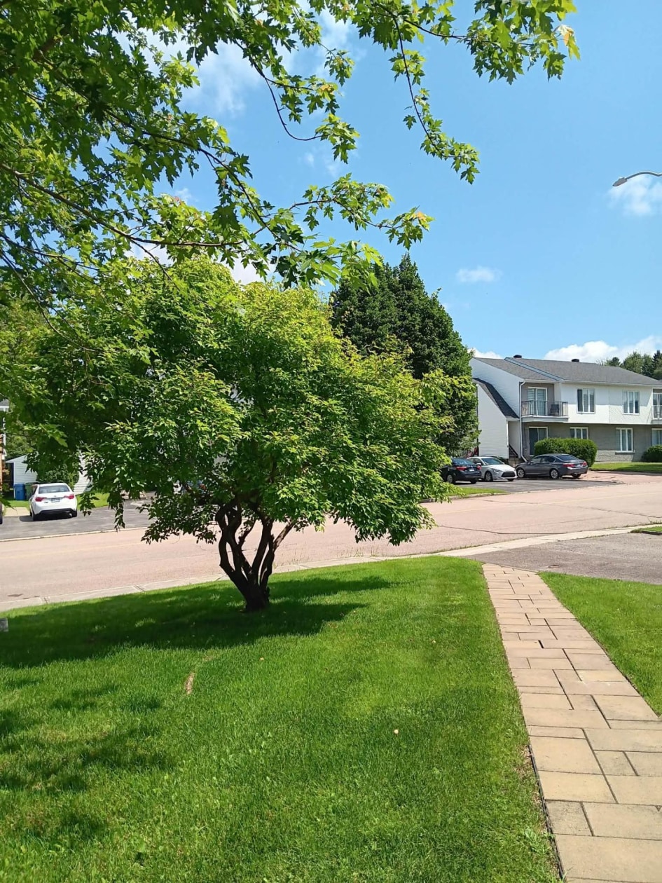Extérieur — 3421 Rue Cabot, Saguenay