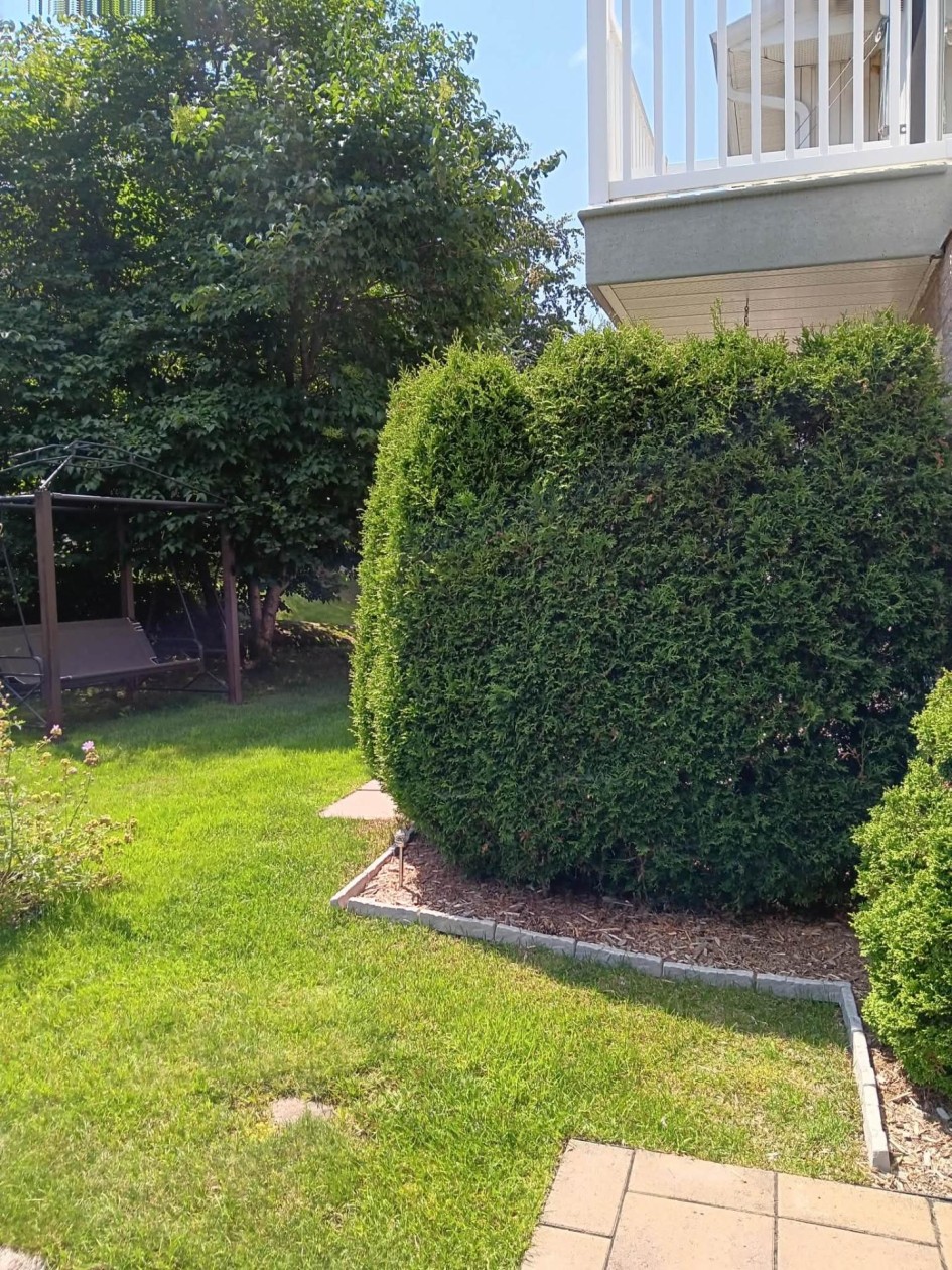 Extérieur — 3421 Rue Cabot, Saguenay