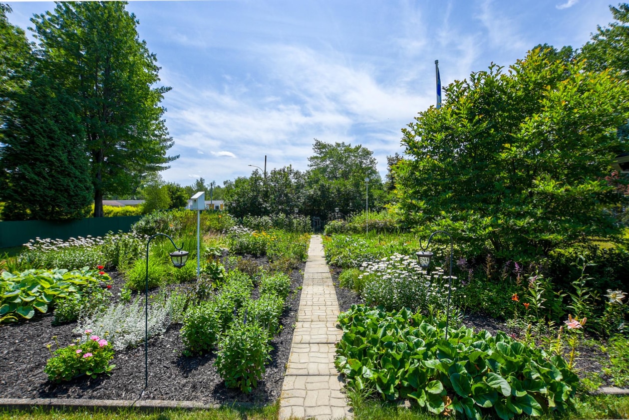 Jardin — 210 Rue Sicotte, Trois-Rivières