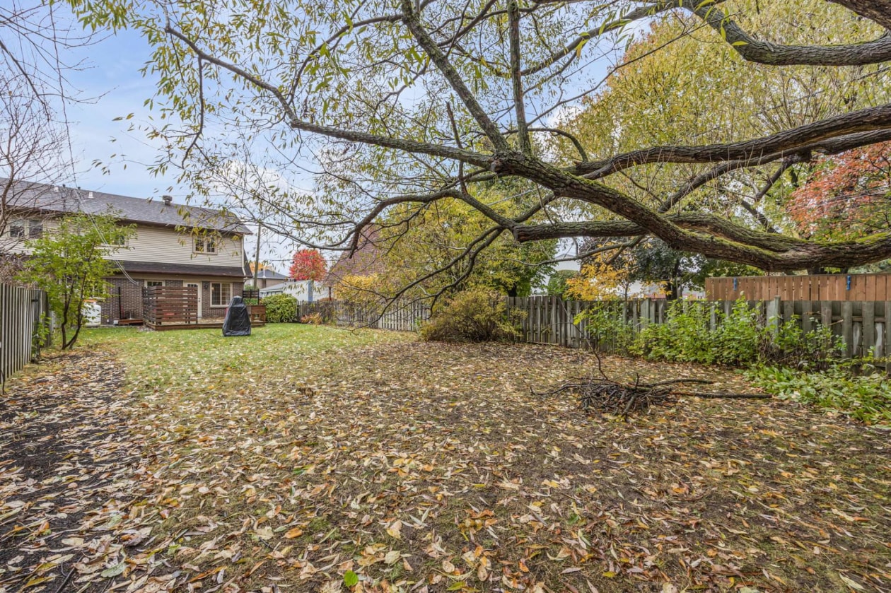 Cour — 4541 Av. de l'Eau-Vive, Lévis