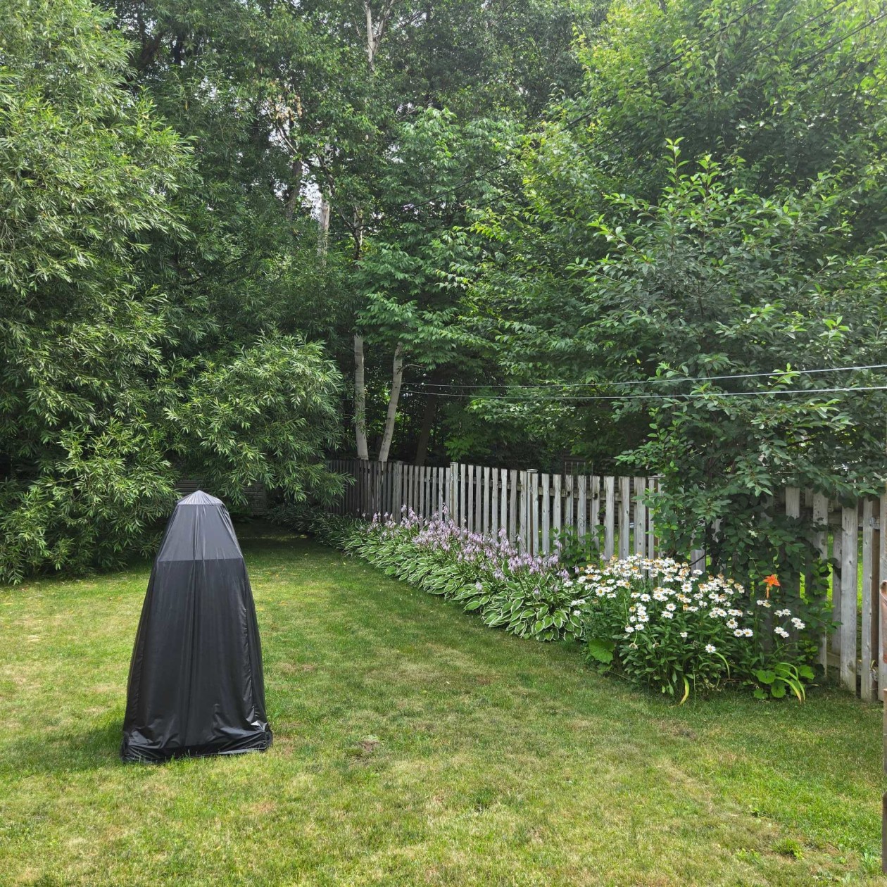 Yard — 4541 Av. de l'Eau-Vive, Lévis