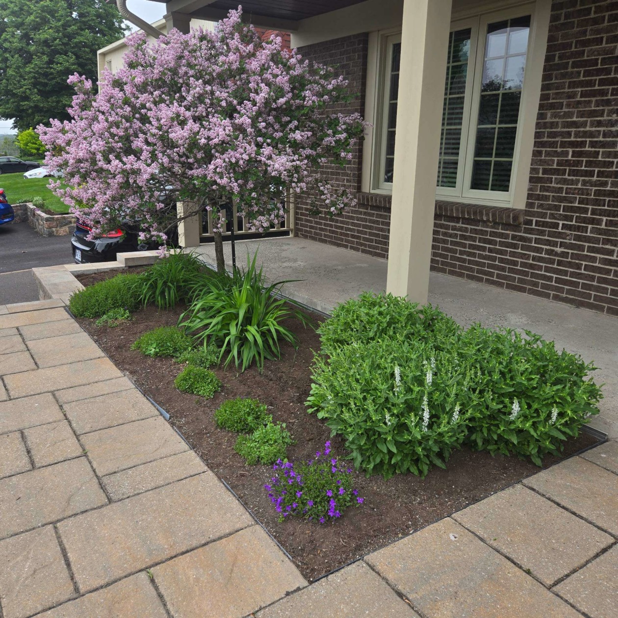 Yard — 4541 Av. de l'Eau-Vive, Lévis