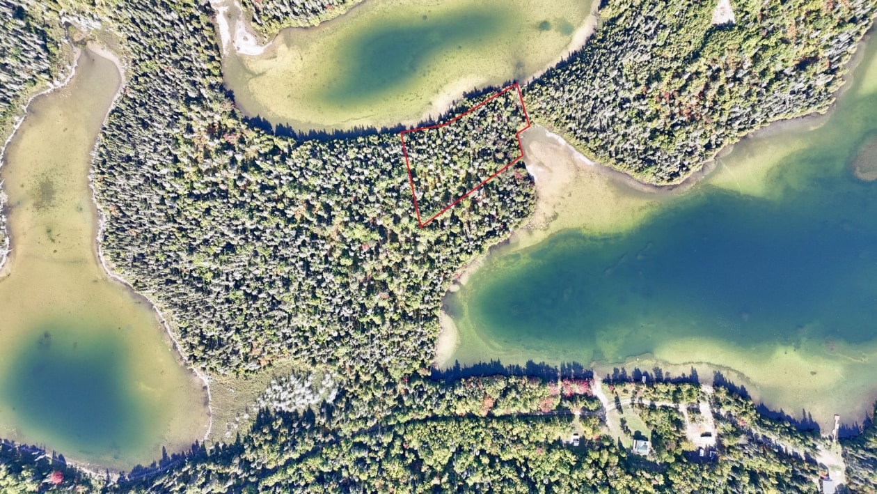 Photo aérienne — Rang 1 N., Gaspé