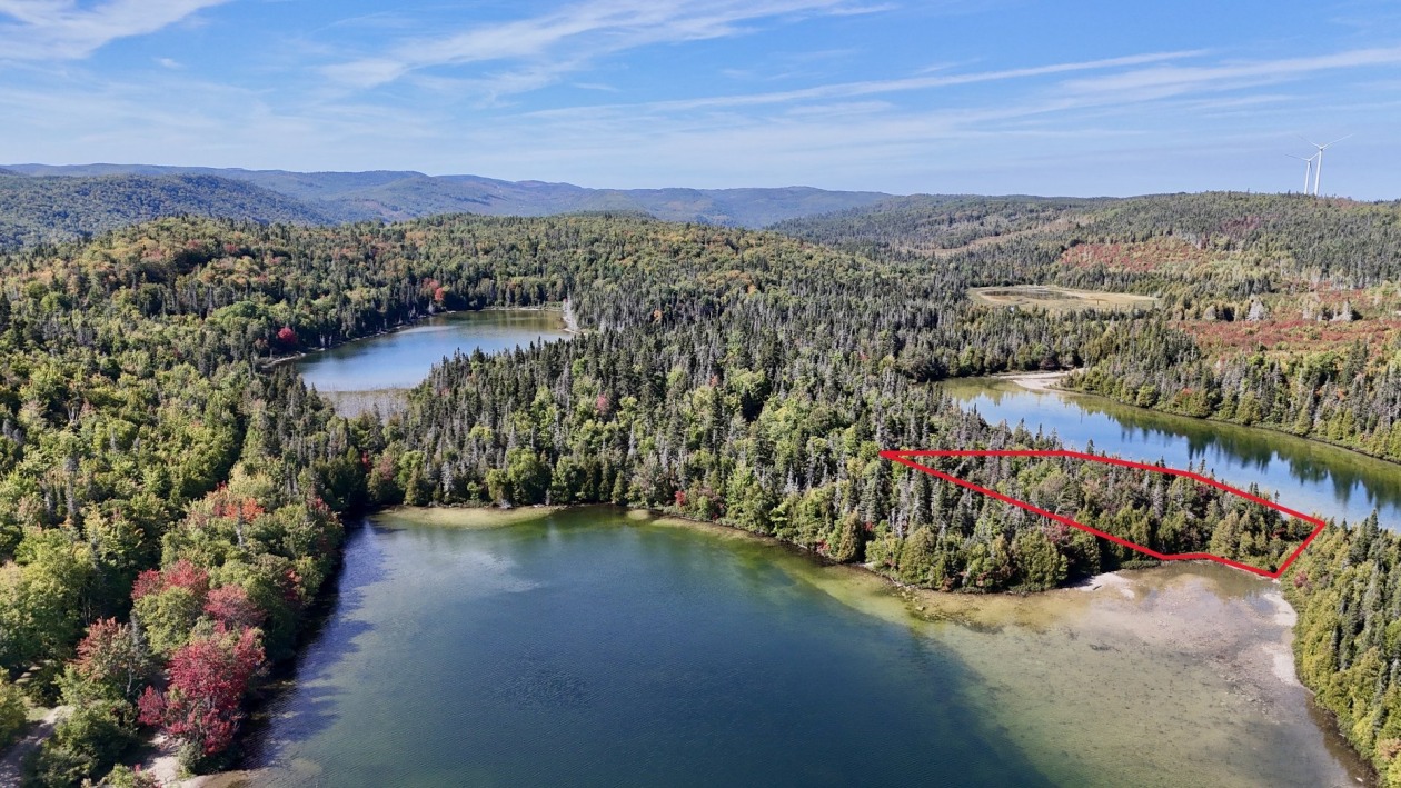 Photo aérienne — Rang 1 N., Gaspé