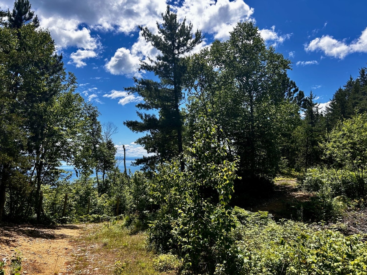 Terrain — Ch. des Plateaux, Saint-Siméon
