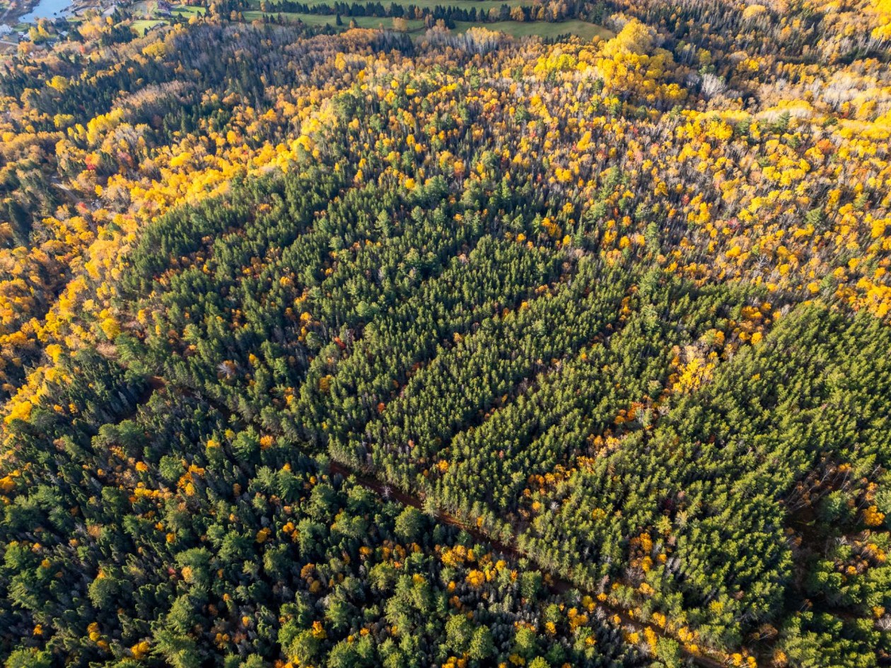 Photo aérienne — Ch. des Plateaux, Saint-Siméon
